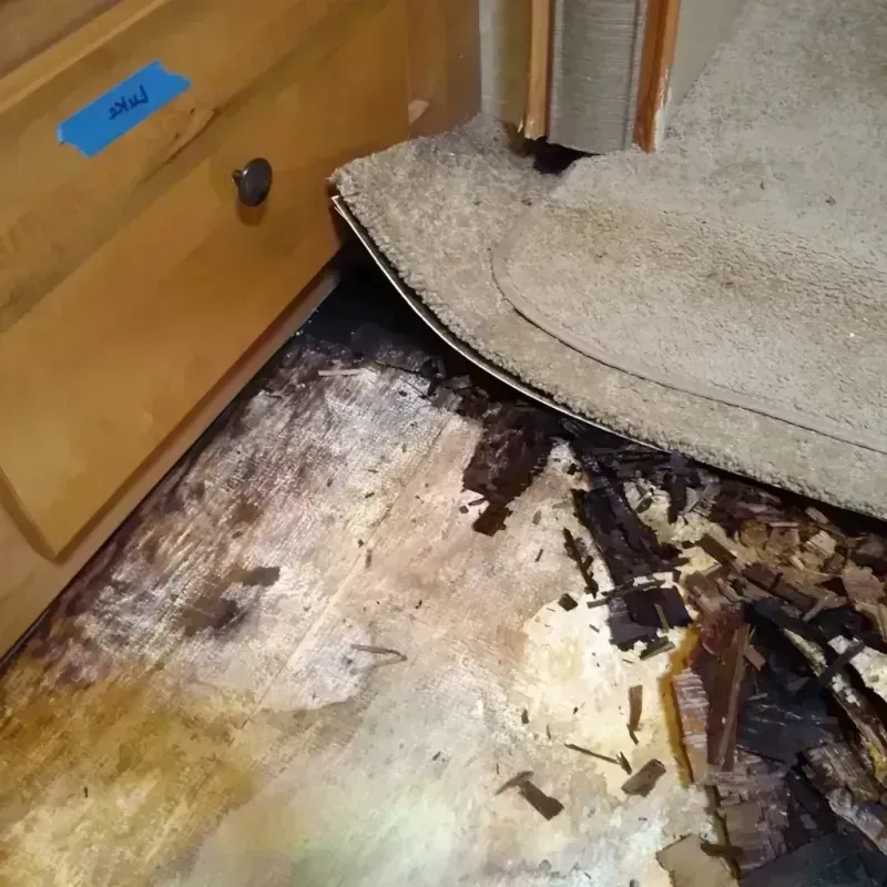 Best Wood Floor Water Damage Service in North York, PA